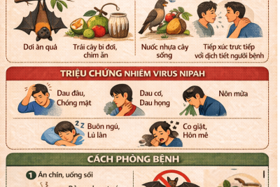 Bài tuyên truyền về virut NIPAH